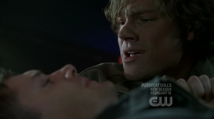 Mystery Spot Pictures - Supernatural Fan Site Mystery Spot Pictures - Supernatural Fan Site